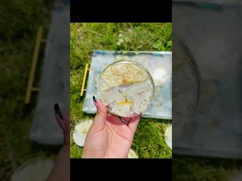 Custom Bouquet Preservation in Acrylic Resin Tray โ Multiple Sizes ๐ธโจ- 3D Flower preservation